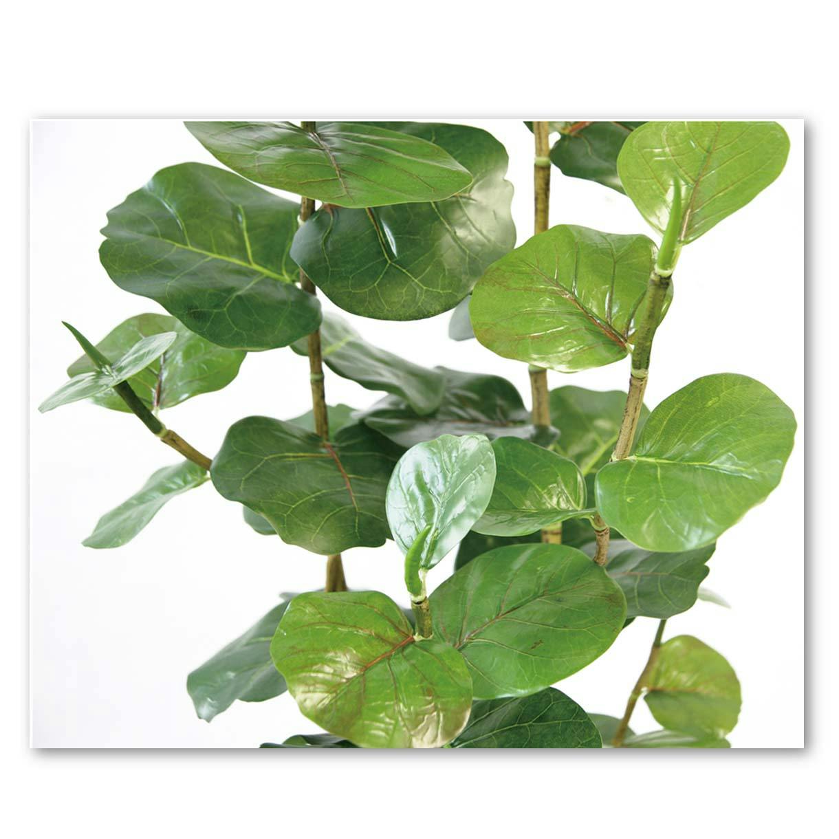 GREEN COFFRET シーグレープ125cm 人工観葉植物 フェイクグリーン