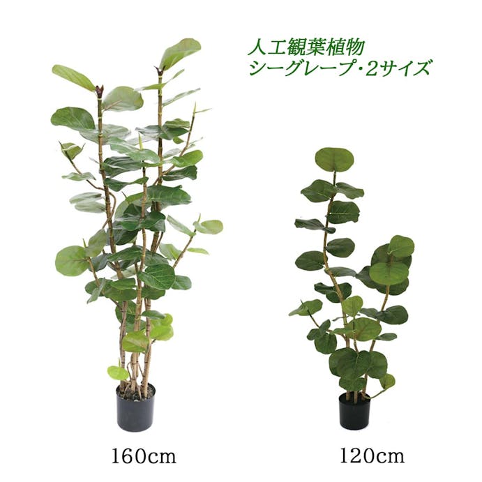 GREEN COFFRET シーグレープ125cm 人工観葉植物 フェイクグリーン インテリアグリーン RI-032ＧＲ【別送品】