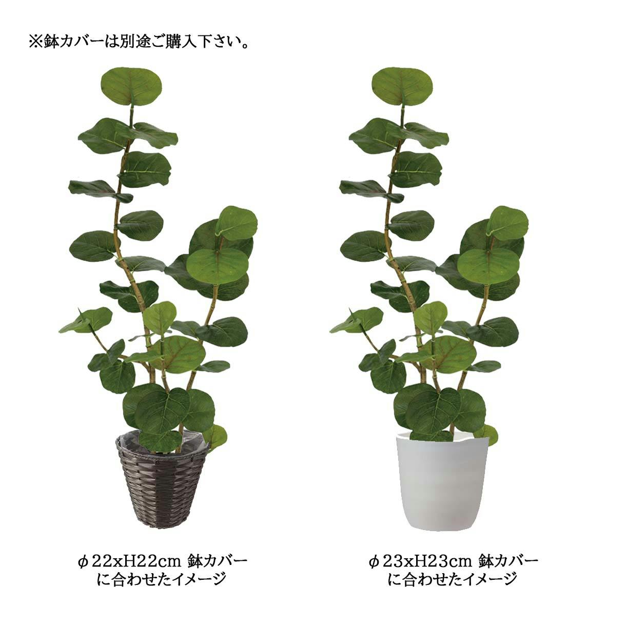 光触媒　人工観葉植物　ウォールグリーン　フェイクグリーン　シーグレープ132 光触媒 人工観葉植物 ウォールグリーン フェイクグリーン シー