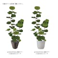 GREEN COFFRET シーグレープ125cm 人工観葉植物 フェイクグリーン インテリアグリーン RI-032ＧＲ【別送品】
