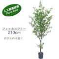 GREEN COFFRET フィッカスツリー210cm 人工観葉植物 フェイクグリーン インテリアグリーン JT-43-5-210【別送品】