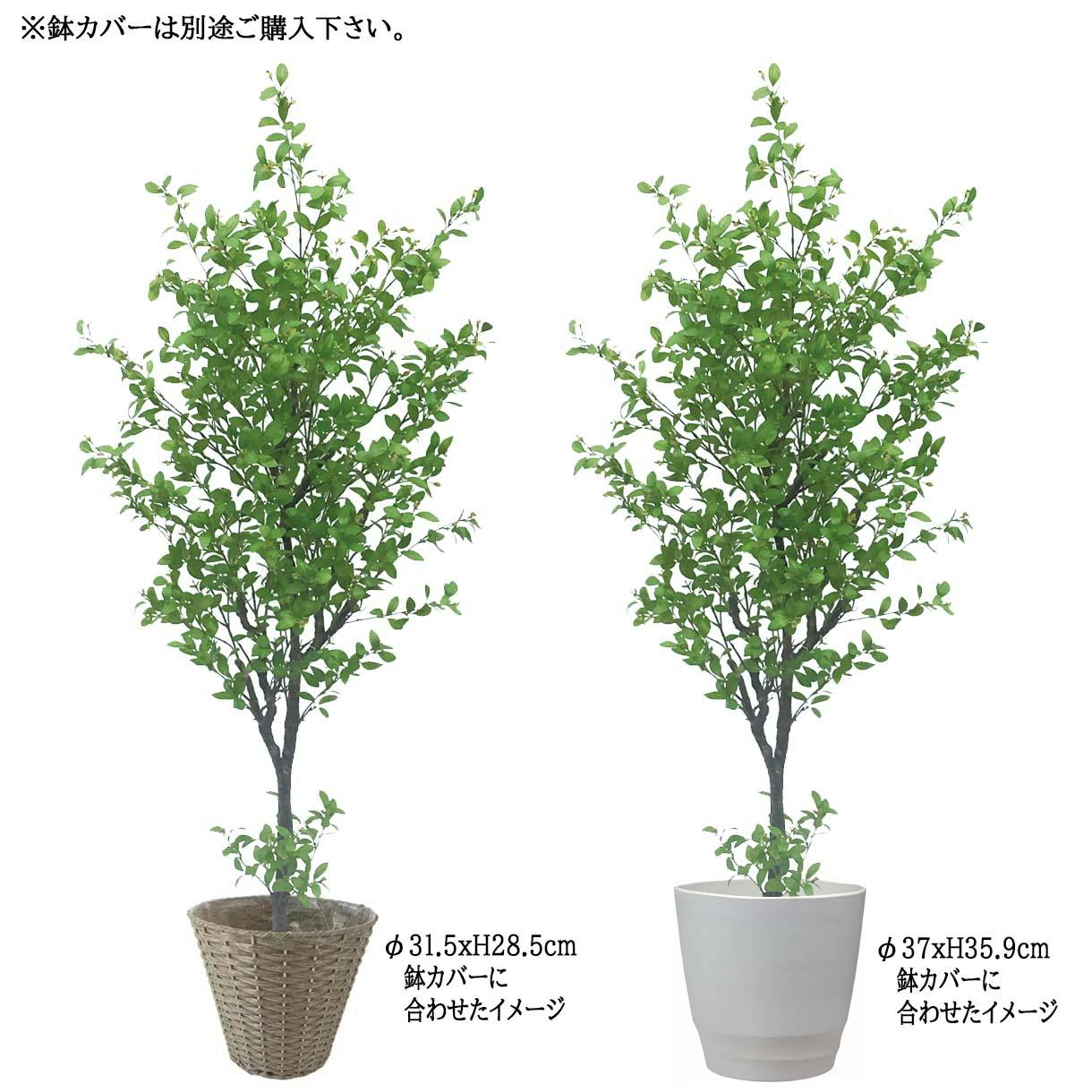 H約85cm フェイク グリーン 人工 観葉植物 造花 おしゃれ インテリア 開店祝い 開業祝い 人工観葉植物 フェイクグリーン 大型観葉植物 造花 屋内 室内 大型