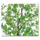 GREEN COFFRET フィッカスツリー115cm 人工観葉植物 フェイクグリーン インテリアグリーン JT-43-1-115【別送品】