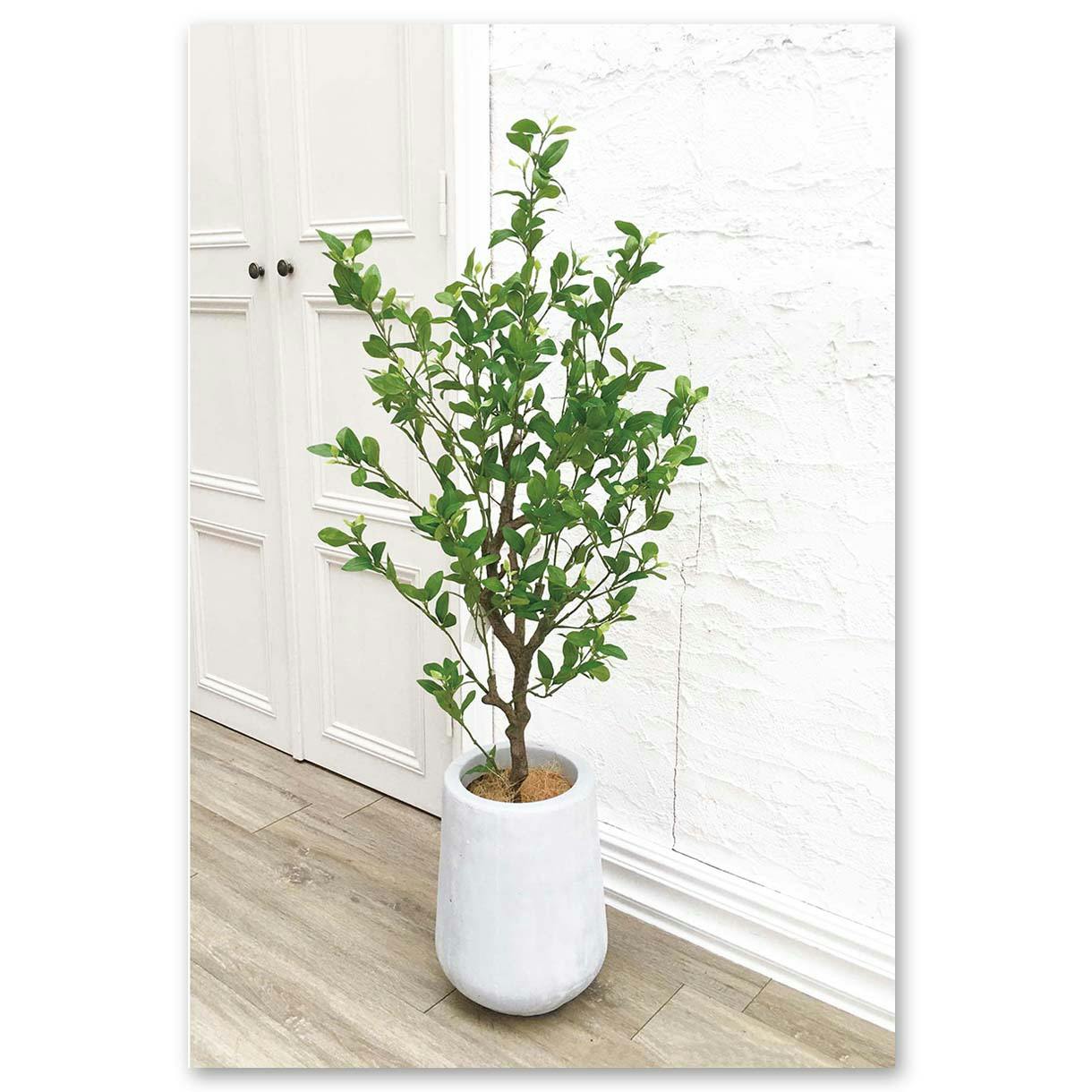 GREEN COFFRET フィッカスツリー115cm 人工観葉植物 フェイクグリーン