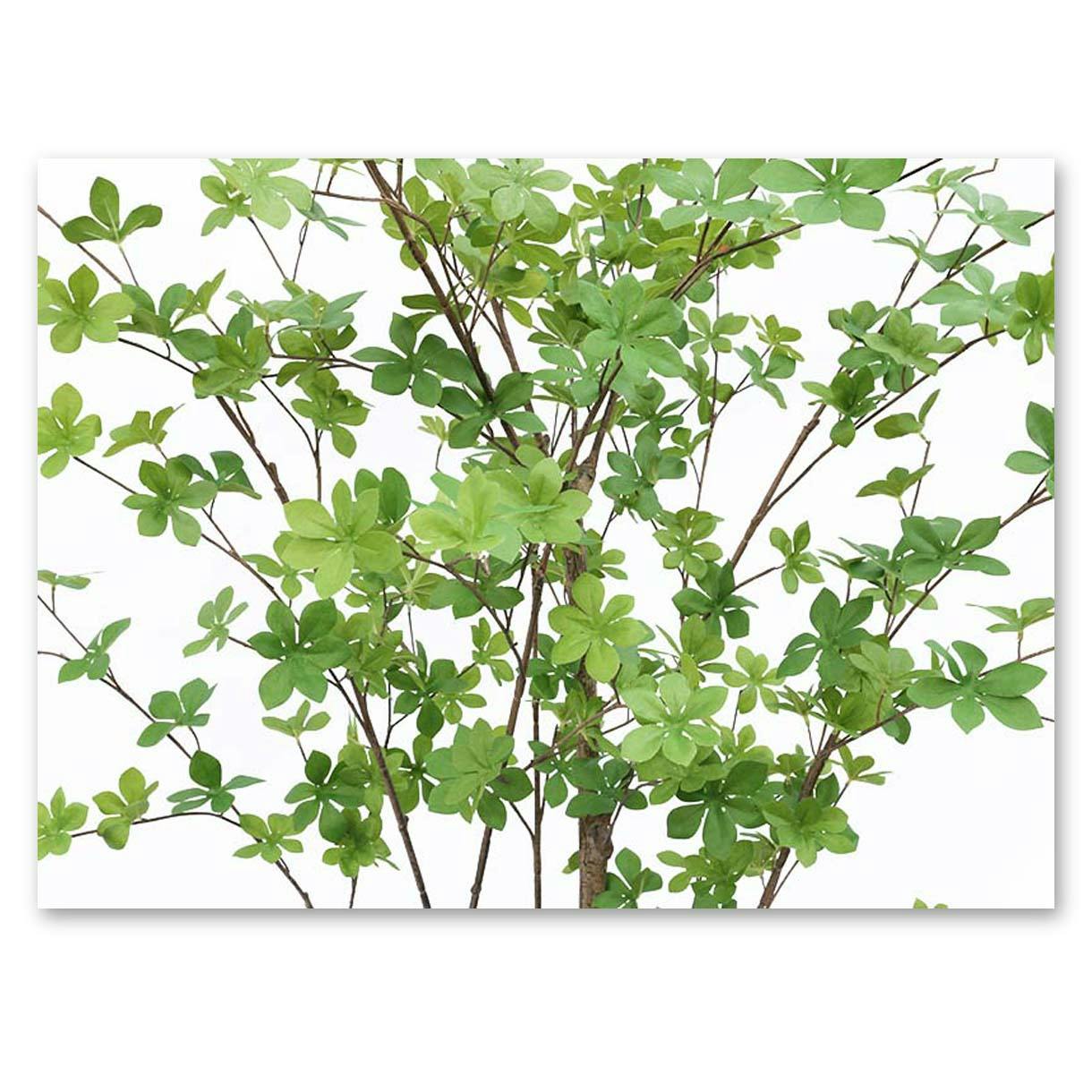 GREEN COFFRET ドウダンツツジ190cm 人工観葉植物 フェイクグリーン