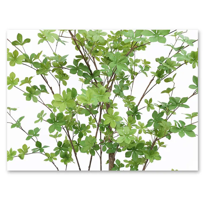 GREEN COFFRET ドウダンツツジ190cm 人工観葉植物 フェイクグリーン インテリアグリーン JT-93-4-190【別送品】