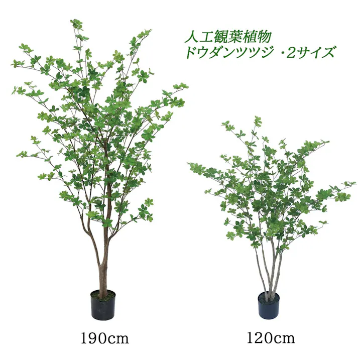GREEN COFFRET ドウダンツツジ190cm 人工観葉植物 フェイクグリーン インテリアグリーン JT-93-4-190【別送品】