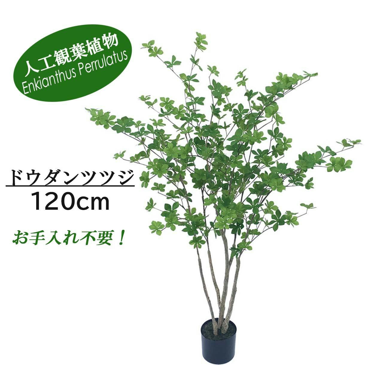 GREEN COFFRET ドウダンツツジ120cm 人工観葉植物 フェイクグリーン インテリアグリーン JT-93-6-120【別送品】 | 花＆ グリーン | ホームセンター通販【カインズ】