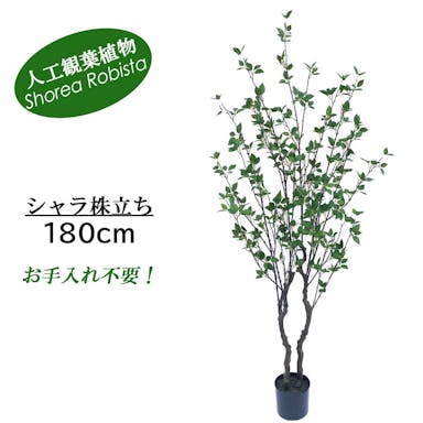 GREEN COFFRET シャラ株立ち180cm 人工観葉植物 フェイクグリーン インテリアグリーン JT-125-2-180【別送品】