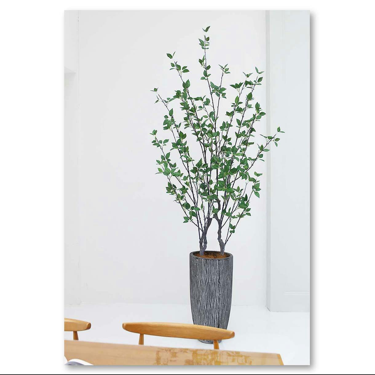 GREEN COFFRET シャラ株立ち180cm 人工観葉植物 フェイク