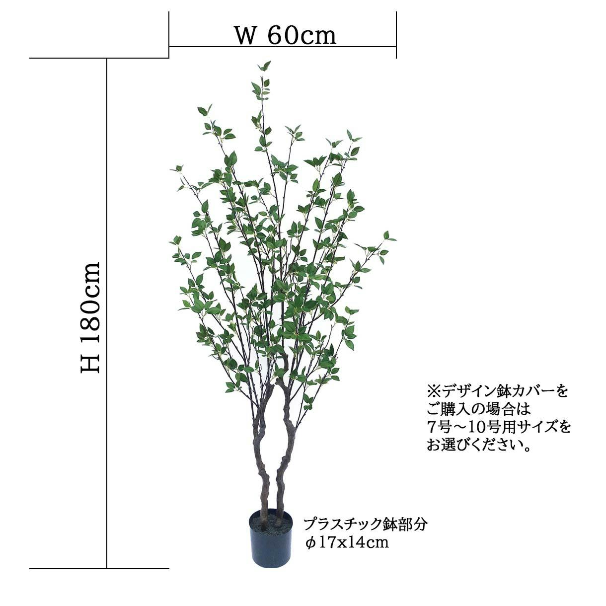 フェイクグリーン GREEN COFFRET フィッカスツリー115陶器鉢付・黒 人工観葉植物