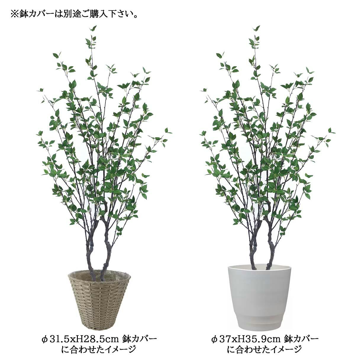 GREEN COFFRET シャラ株立ち180cm 人工観葉植物 フェイク