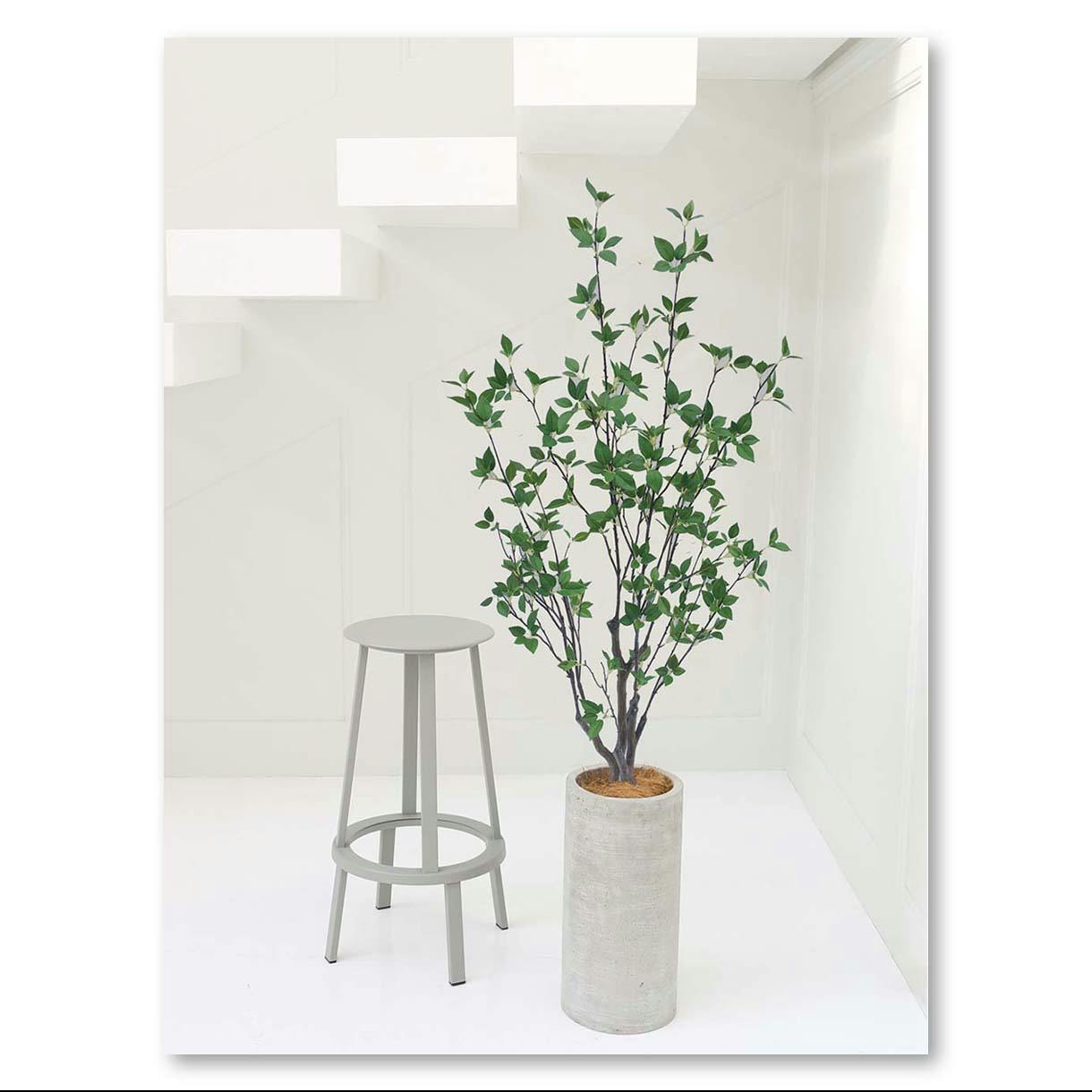 GREEN COFFRET シャラ株立ち150cm 人工観葉植物 フェイク
