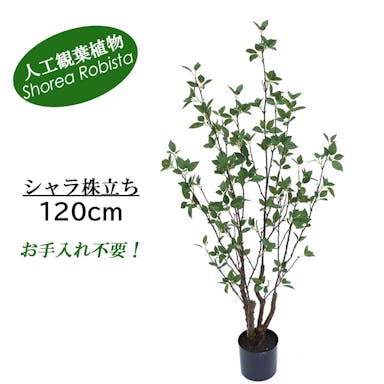 GREEN COFFRET シャラ株立ち120cm 人工観葉植物 フェイクグリーン インテリアグリーン JT-125-4-120【別送品】