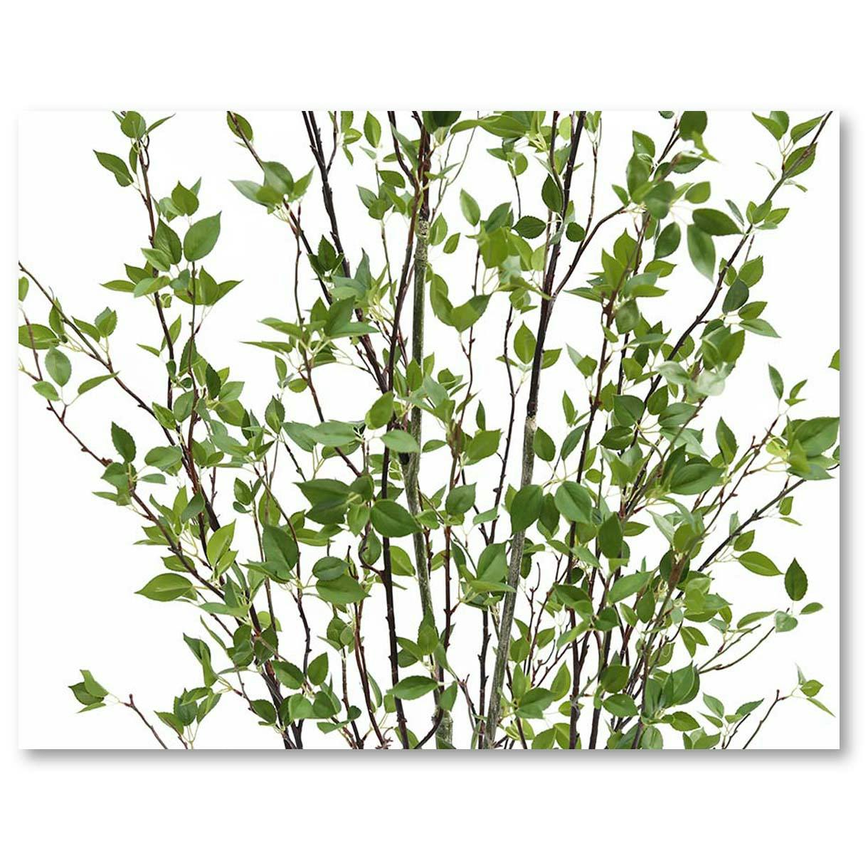 GREEN COFFRET シャラ株立ち120cm 人工観葉植物 フェイクグリーン