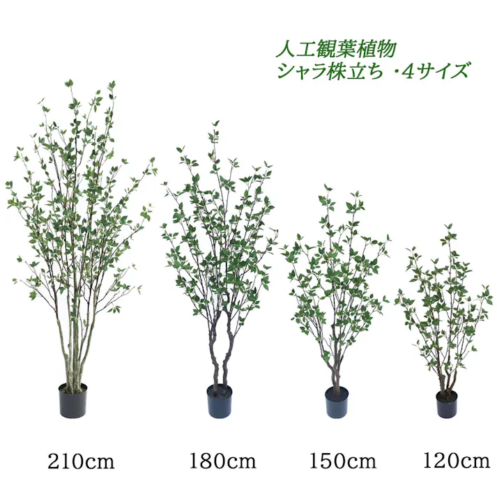 GREEN COFFRET シャラ株立ち120cm 人工観葉植物 フェイクグリーン インテリアグリーン JT-125-4-120【別送品】