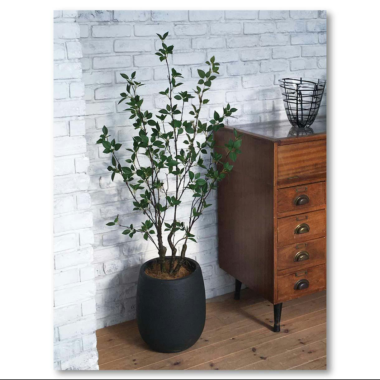 フェイクグリーン　スクエア GREEN COFFRET ストレチア130cm 人工観葉植物 フェイクグリーン