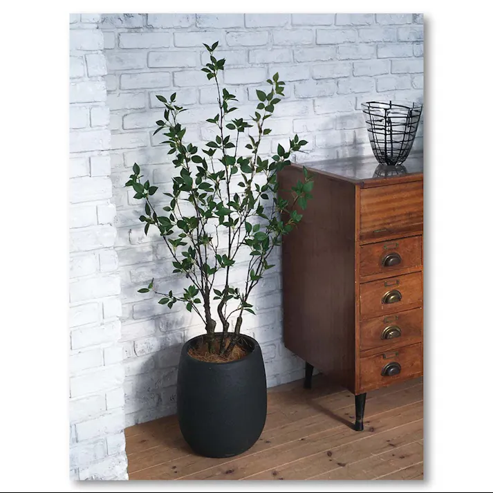 GREEN COFFRET シャラ株立ち120cm 人工観葉植物 フェイクグリーン インテリアグリーン JT-125-4-120【別送品】