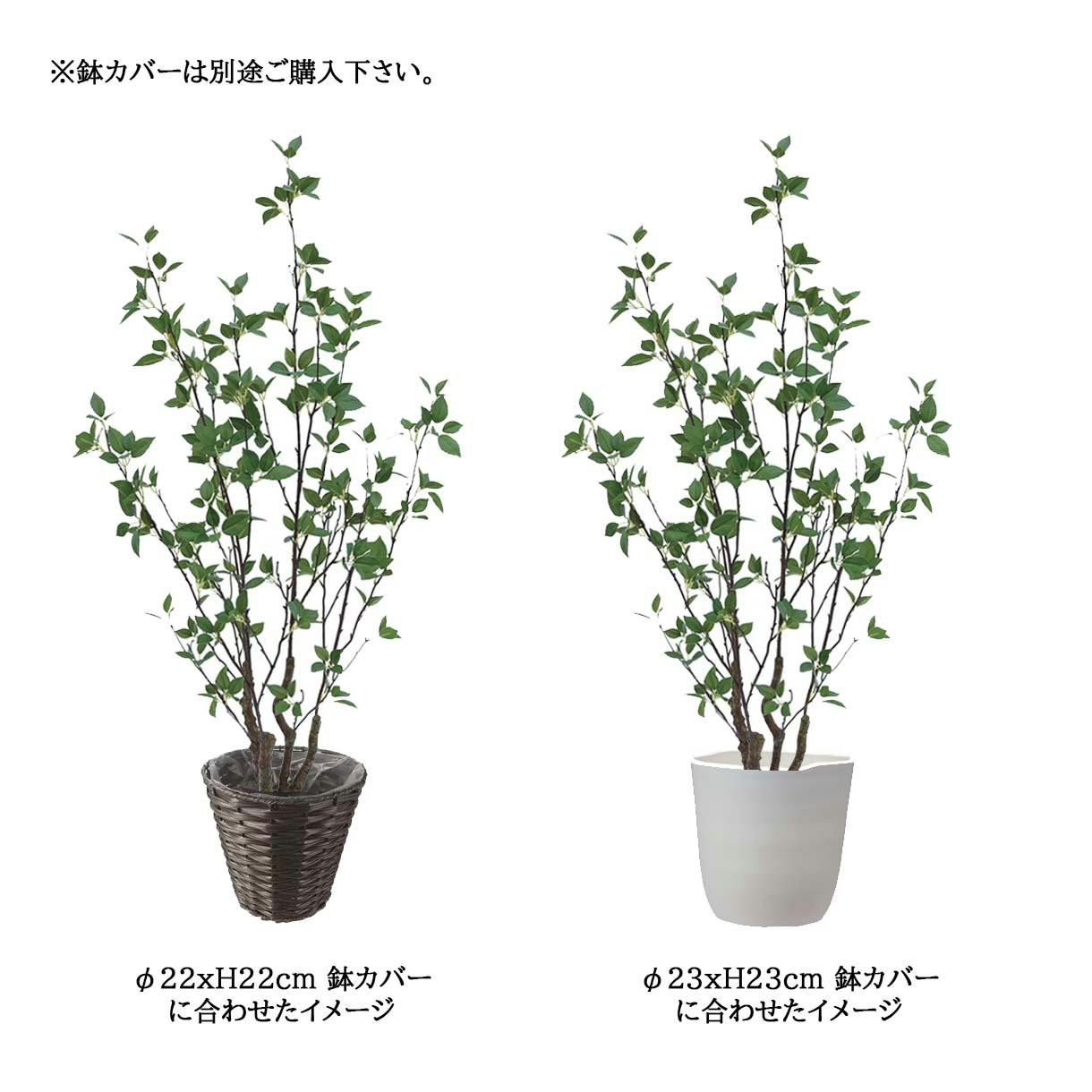 フェイクグリーン　スクエア SquareRoot 6.5｜プランター型スピーカー｜オーディオブレインズ