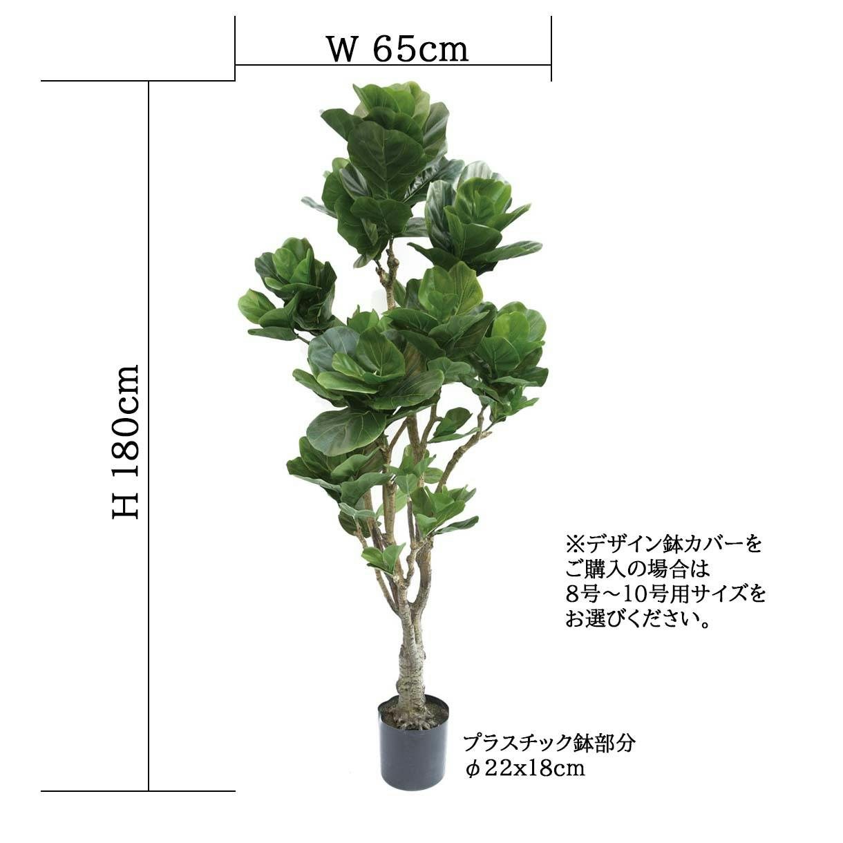 GREEN COFFRET カシワバゴム180cm 人工観葉植物 フェイク