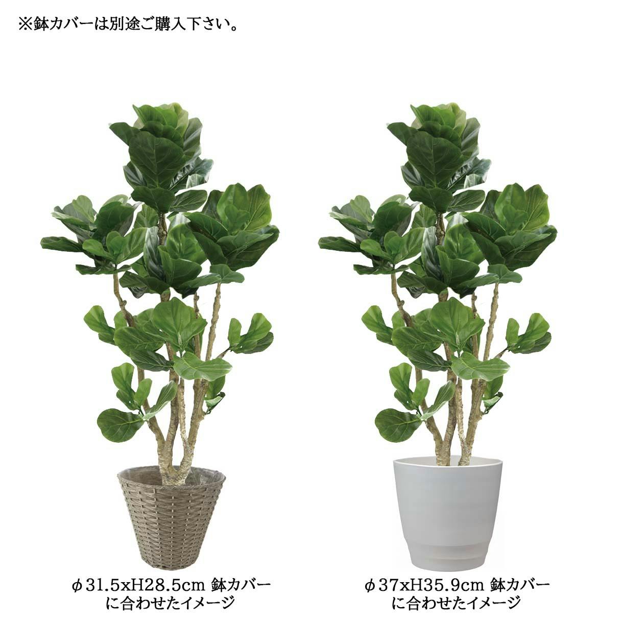 GREEN COFFRET カシワバゴム160cm 人工観葉植物 フェイクグリーン