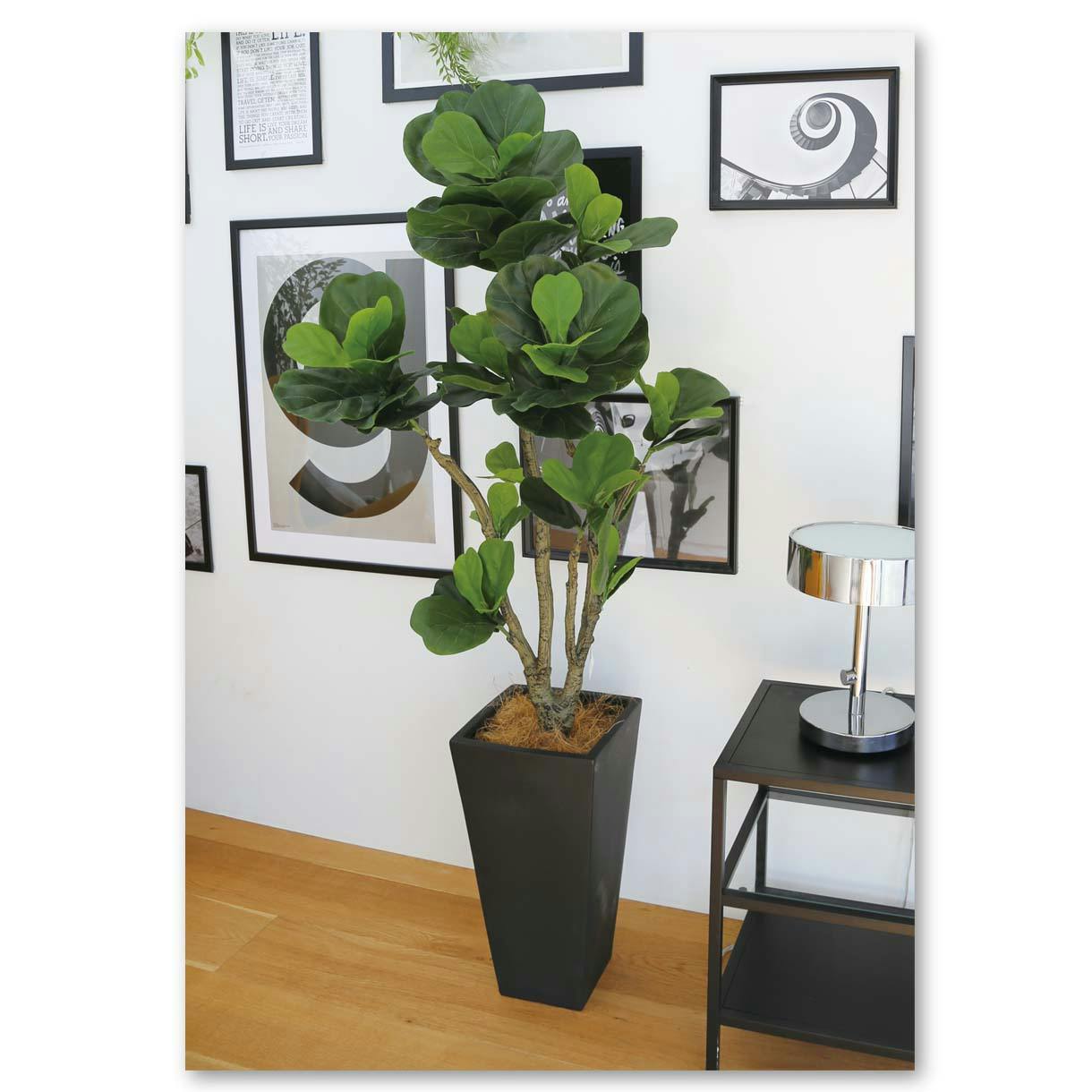 GREEN COFFRET カシワバゴム120cm 人工観葉植物 フェイクグリーン