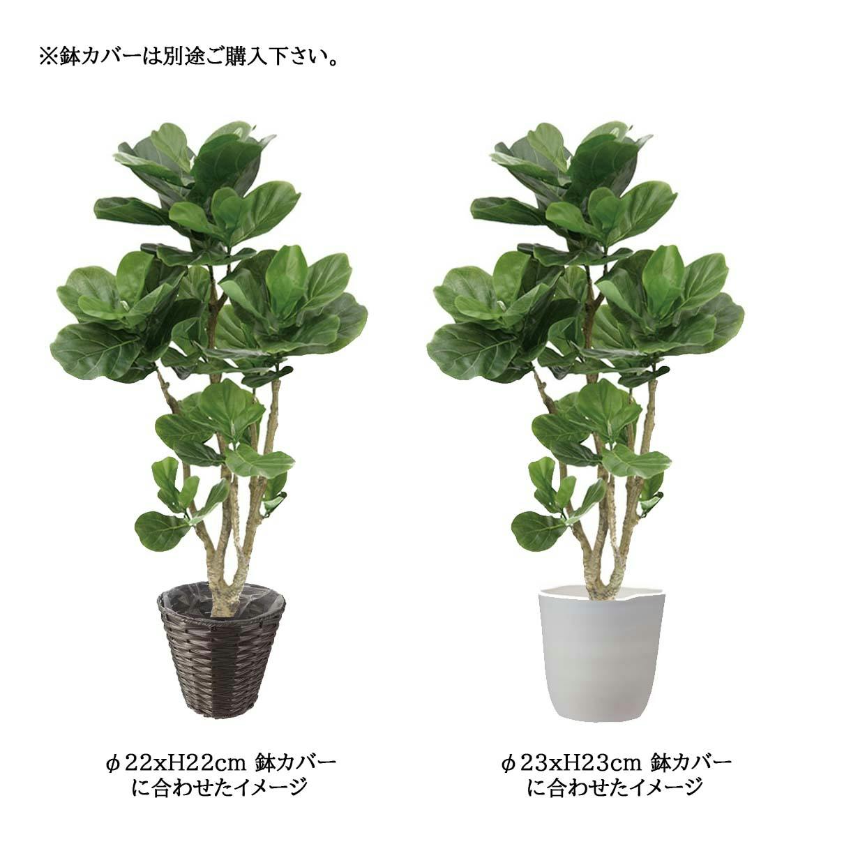 GREEN COFFRET カシワバゴム120cm 人工観葉植物 フェイクグリーン