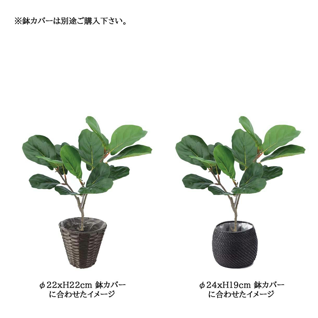 GREEN COFFRET カシワバゴム80cm 人工観葉植物 フェイクグリーン