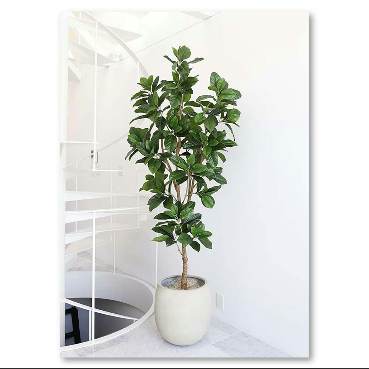 GREEN COFFRET ピンポンの木210cm 人工観葉植物 フェイクグリーン