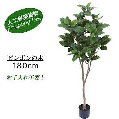 GREEN COFFRET ピンポンの木180cm 人工観葉植物 フェイクグリーン インテリアグリーン YCS-180126-180【別送品】