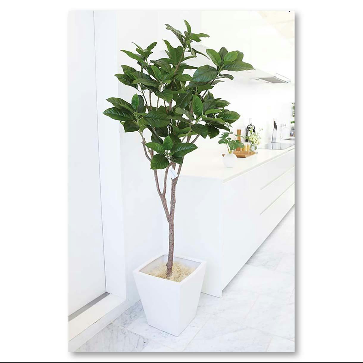 GREEN COFFRET ピンポンの木180cm 人工観葉植物 フェイクグリーン