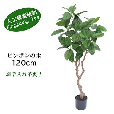 GREEN COFFRET ピンポンの木120cm 人工観葉植物 フェイクグリーン インテリアグリーン YCS-180081-120【別送品】