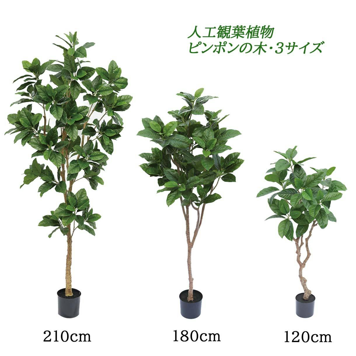 GREEN COFFRET ピンポンの木120cm 人工観葉植物 フェイクグリーン