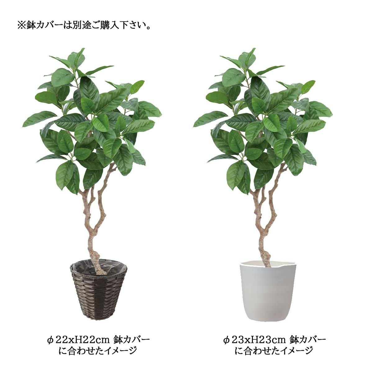 GREEN COFFRET ピンポンの木120cm 人工観葉植物 フェイク