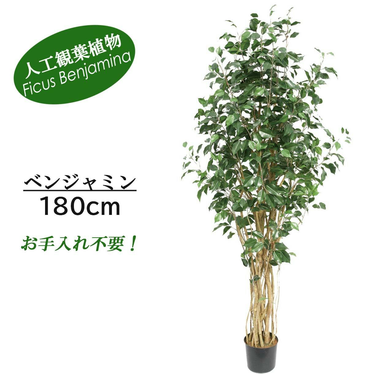 GREEN COFFRET ベンジャミン180cm 人工観葉植物 フェイクグリーン インテリアグリーン RI-017.GR【別送品】 | 花＆グリーン  通販 | ホームセンターのカインズ