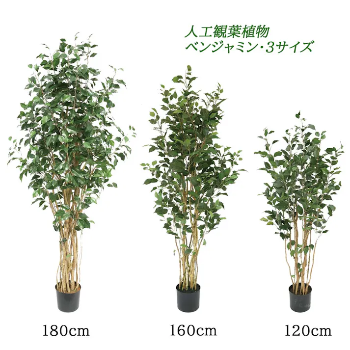 GREEN COFFRET ベンジャミン160cm 人工観葉植物 フェイクグリーン インテリアグリーン RI-081.GR【別送品】