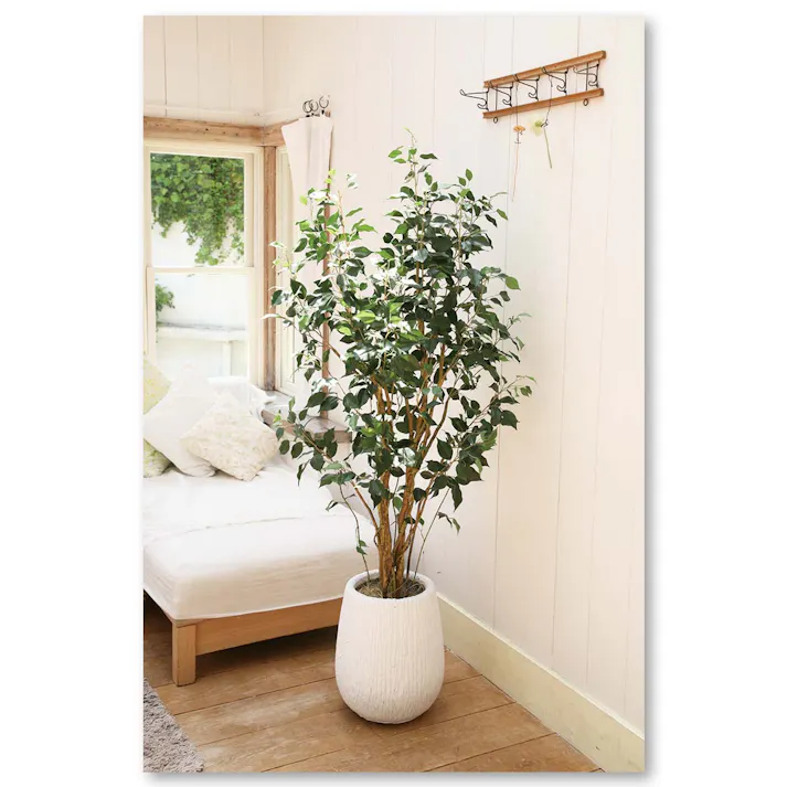 GREEN COFFRET ベンジャミン160cm 人工観葉植物 フェイクグリーン インテリアグリーン RI-081.GR【別送品】