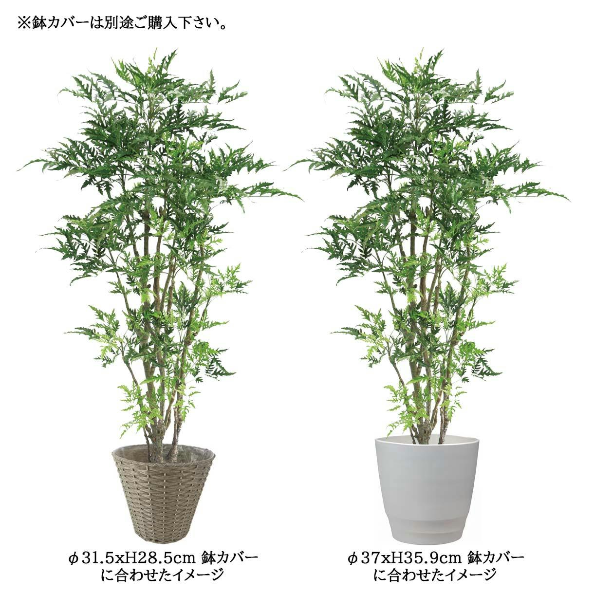 GREEN COFFRET ポリシャス180cm 人工観葉植物 フェイクグリーン