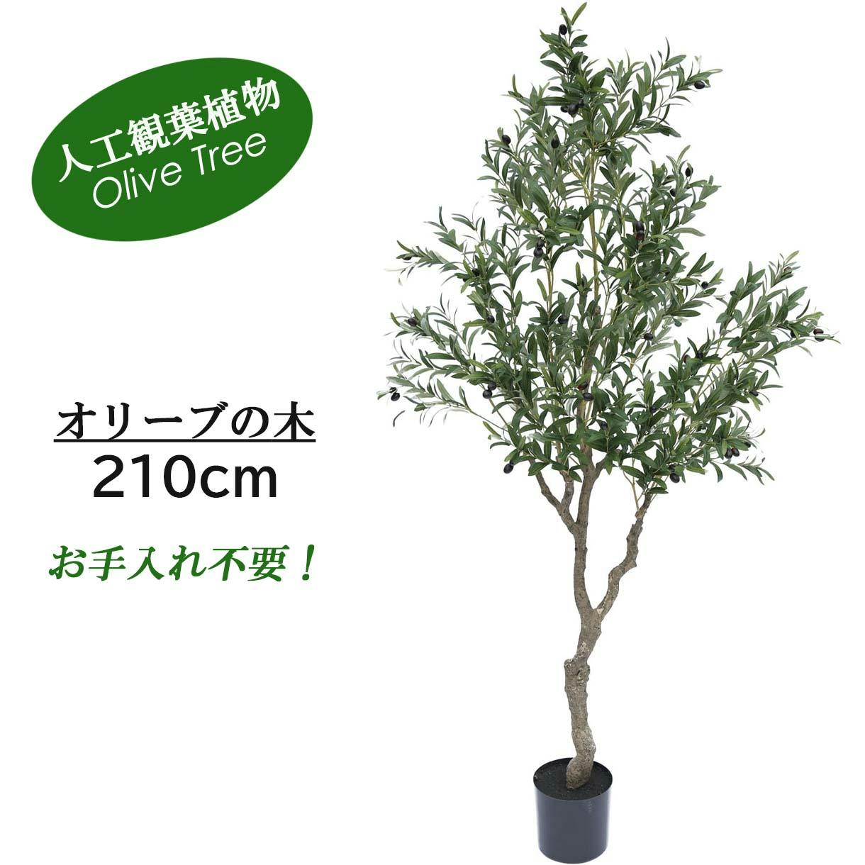 GREEN COFFRET オリーブの木210cm 人工観葉植物 フェイクグリーン