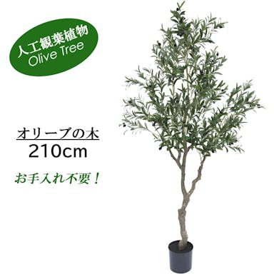 GREEN COFFRET オリーブの木210cm 人工観葉植物 フェイクグリーン インテリアグリーン PC-120-7-210【別送品】