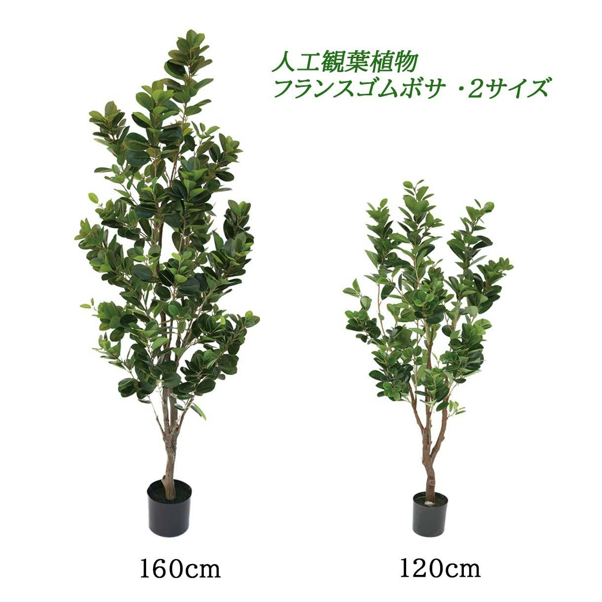 GREEN COFFRET フランスゴムボサ160cm 人工観葉植物 フェイクグリーン