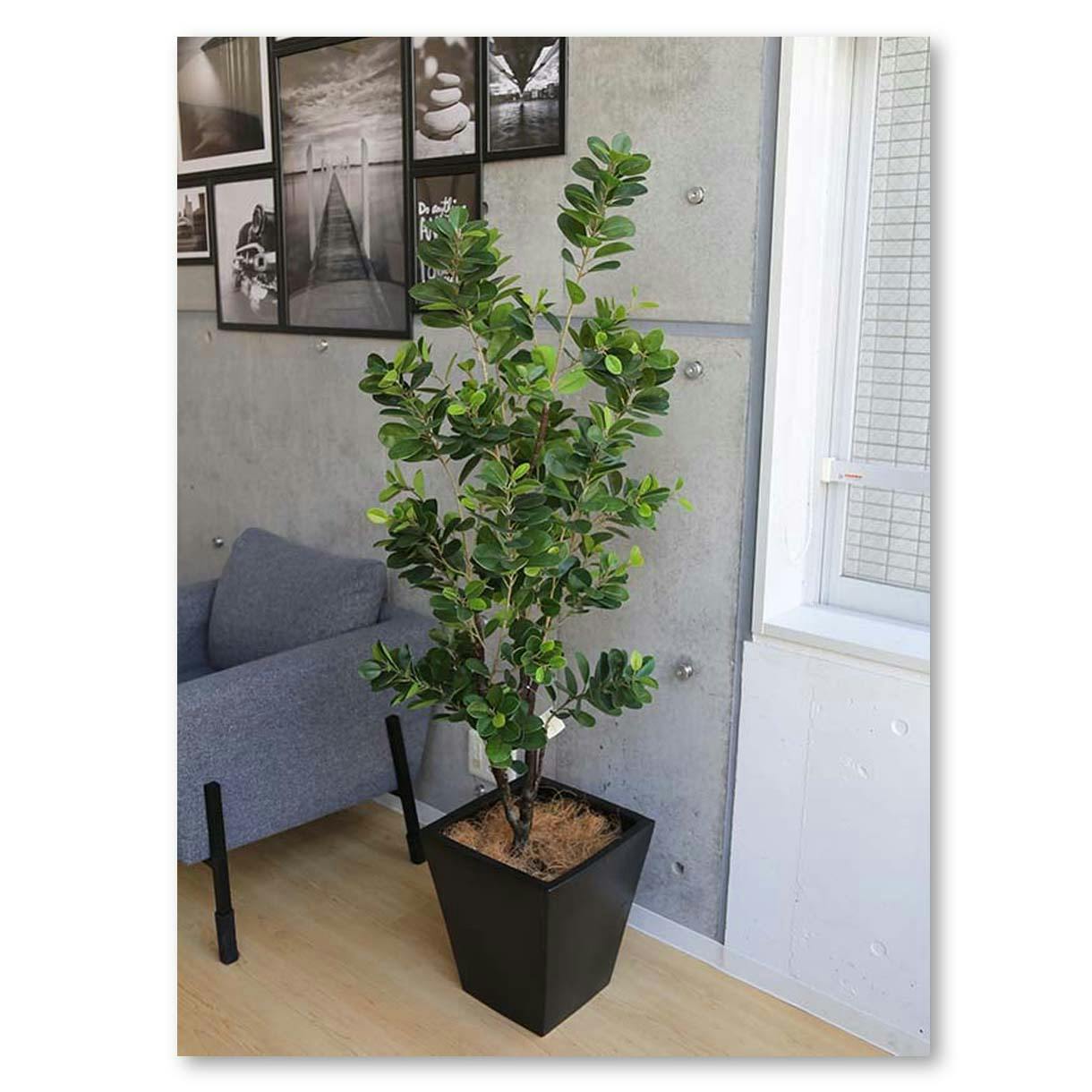 GREEN COFFRET フランスゴムボサ160cm 人工観葉植物 フェイクグリーン