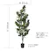 GREEN COFFRET フランスゴムボサ160cm 人工観葉植物 フェイクグリーン インテリアグリーン RI-091.GR【別送品】