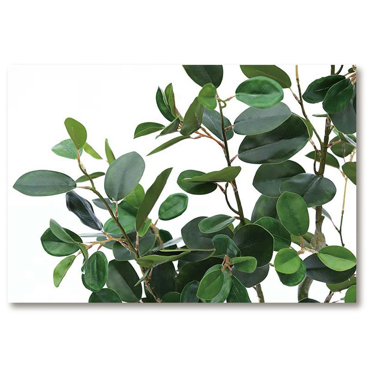 GREEN COFFRET フランスゴムの木210cm 人工観葉植物 フェイクグリーン