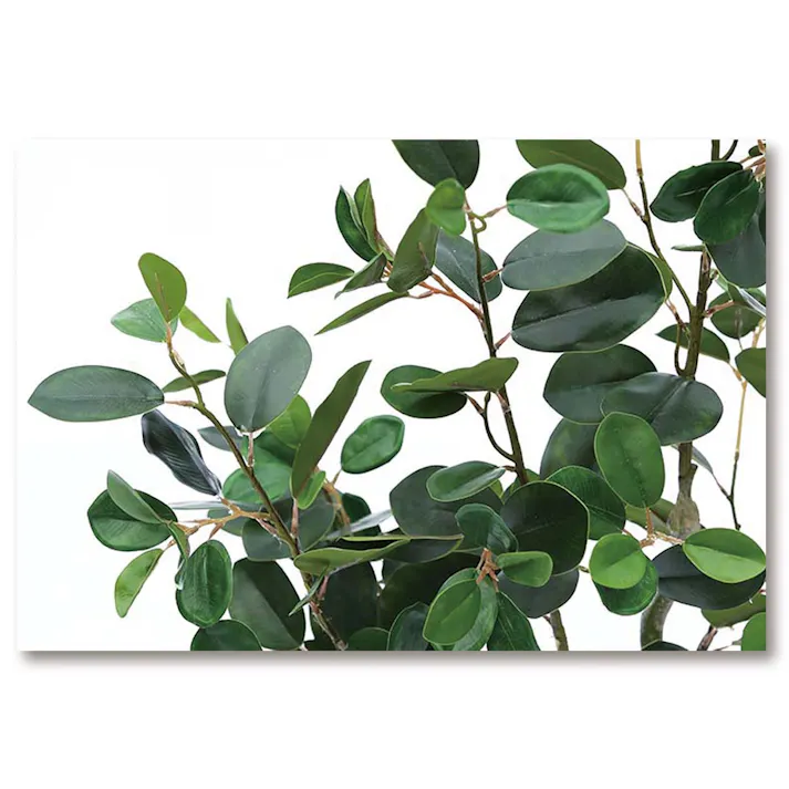 GREEN COFFRET フランスゴムの木210cm 人工観葉植物 フェイクグリーン インテリアグリーン PC-121-5-210【別送品】