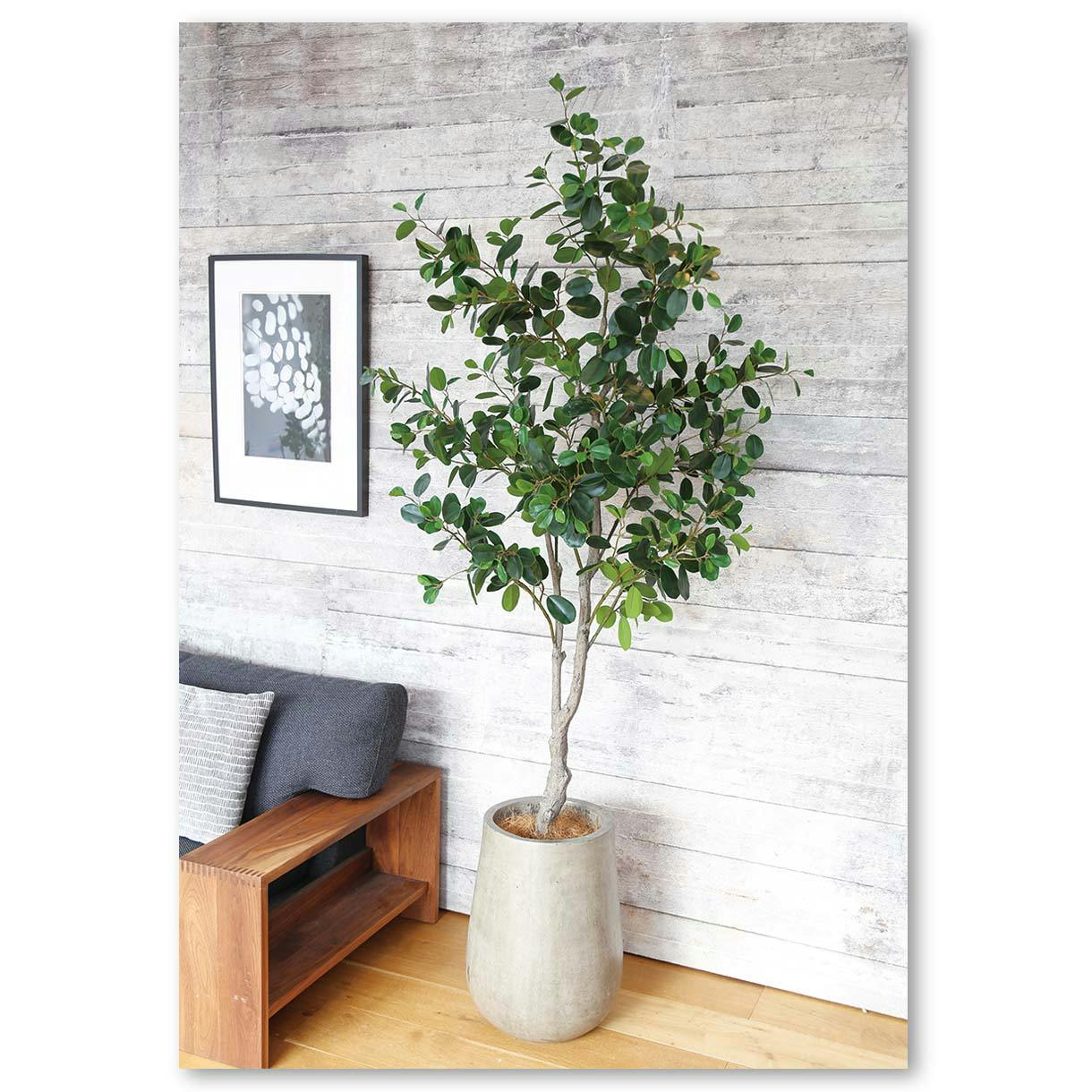 GREEN COFFRET フランスゴムの木210cm 人工観葉植物 フェイクグリーン