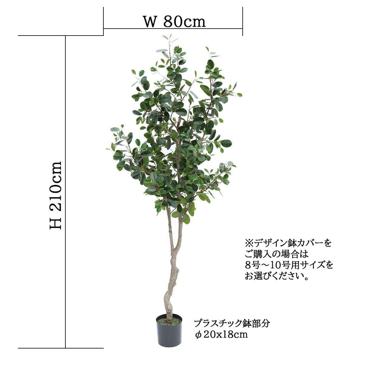 GREEN COFFRET フランスゴムの木210cm 人工観葉植物 フェイクグリーン