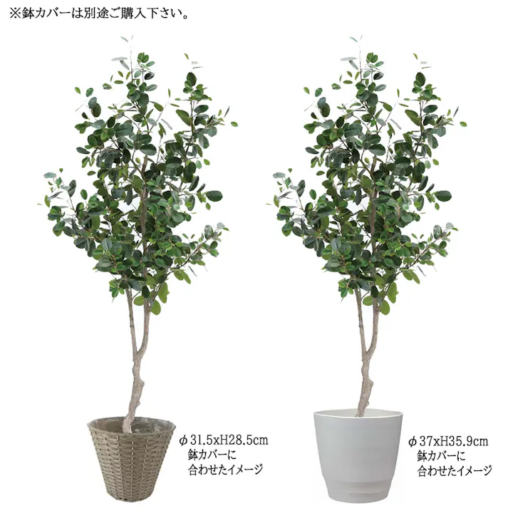GREEN COFFRET フランスゴムの木210cm 人工観葉植物 フェイクグリーン インテリアグリーン PC-121-5-210【別送品】