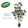 GREEN COFFRET シェフレラ120cm 人工観葉植物 フェイクグリーン インテリアグリーン RI-006.GR【別送品】