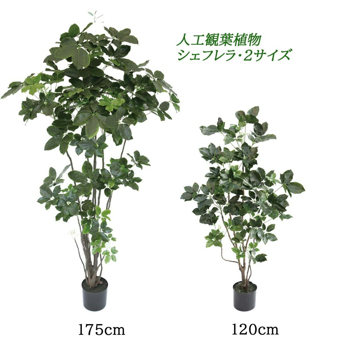 光触媒　人工観葉植物　ウォールグリーン　フェイクグリーン　スリムシェフレラ1.3 光触媒 光の楽園 シェフレラ 高さ 1.15m 【インテリア フェイク